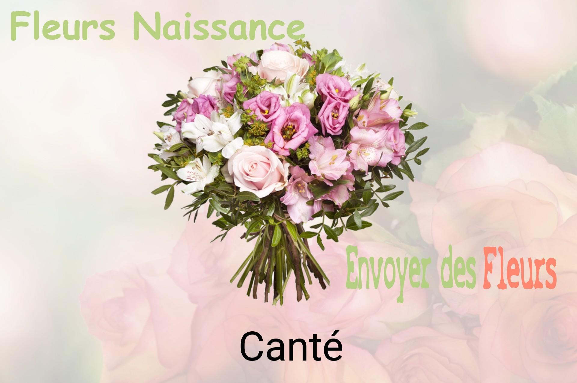 Bouquet de fleurs de naissance livré à Canté