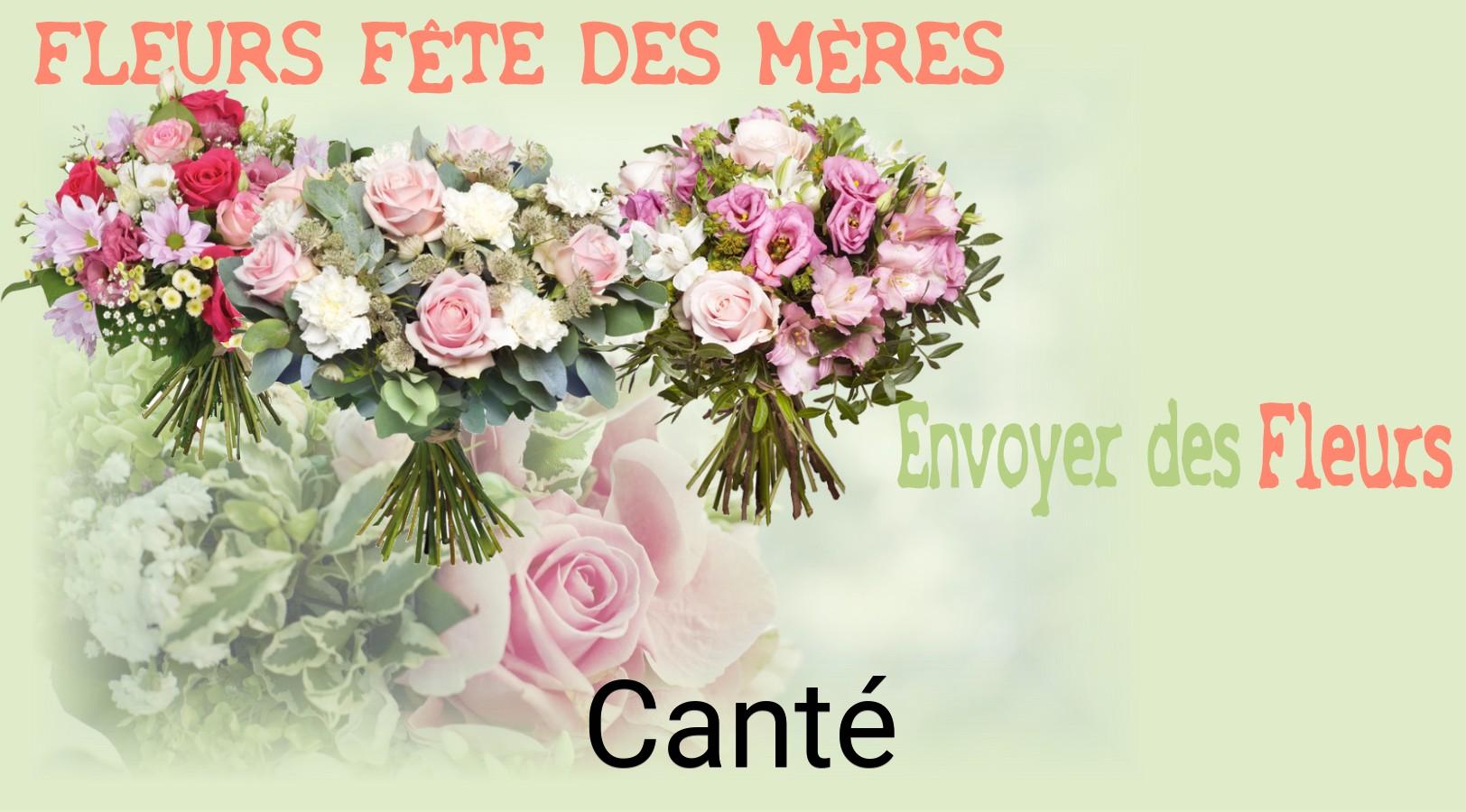 Bouquet de Fête des Mères livré à Canté